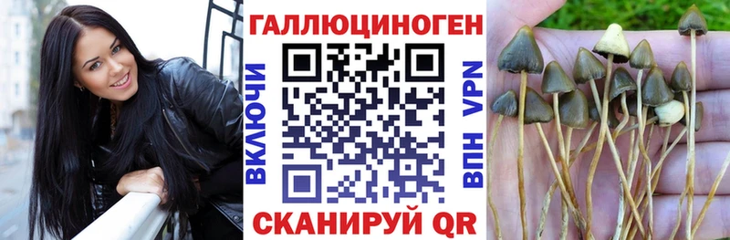 Галлюциногенные грибы Psilocybine cubensis  Макушино 